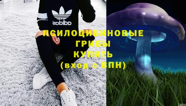 соль ск Абаза