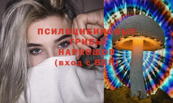 прущие крисы Алексин