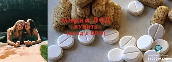 дживик Абинск